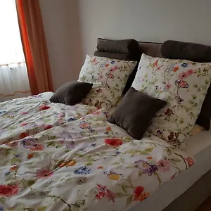  Apartment Zentrumsnah